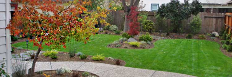 service page image